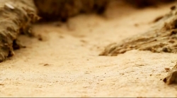 خیلی خیلی کوچک (2) (بدتر از این هم می شود)